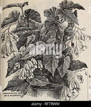 . La molla 1900. Vivaio Ohio Painesville cataloghi; semi di ortaggi cataloghi; fiori cataloghi; lampadine (piante) cataloghi; piante ornamentali, cataloghi; alberi da frutto piantine Cataloghi Cataloghi di frutta. Impianti-Collezione generale. 69. Si prega di notare che queste immagini vengono estratte dalla pagina sottoposta a scansione di immagini che possono essere state migliorate digitalmente per la leggibilità - Colorazione e aspetto di queste illustrazioni potrebbero non perfettamente assomigliano al lavoro originale. Storrs &AMP; Harrison Co; Henry G. vivaio di Gilbert e il commercio di sementi Catalogo Collezione. Painesville, Ohio : Storrs &AMP; Harrison Co.