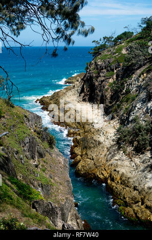 Gola del nord visto da nord Gorge a piedi, Point Lookout, North Stradbroke Island, Queensland, Australia Foto Stock