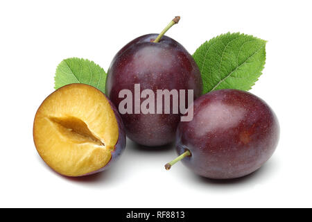 Damson prugne con foglie isolati su sfondo bianco Foto Stock