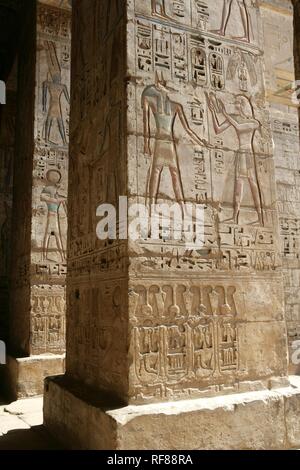 Geroglifici, Medinet Habu, Tempio mortuario di Ramesse III, West Tebe, Luxor, Egitto, Africa Foto Stock