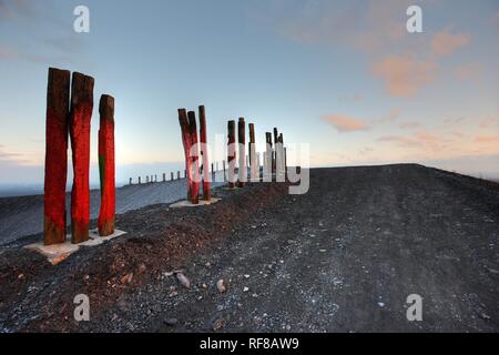 "Totem, ' installazione pezzo di arte costruita da oltre 100 traversine ferroviarie dall artista basco Agustín Ibarrola sul data mining cumuli di rifiuti Foto Stock