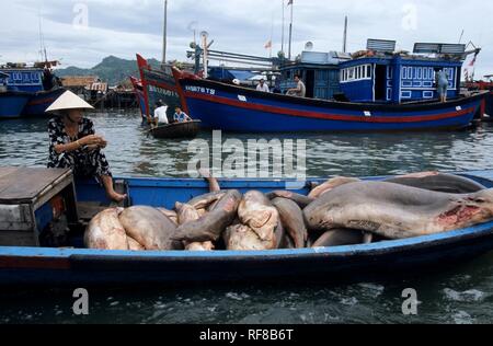 Porto di pesca sulla canzone Cai River, Nha Trang, Khánh Hòa Provincia, South Central Coast, Vietnam Asia Foto Stock