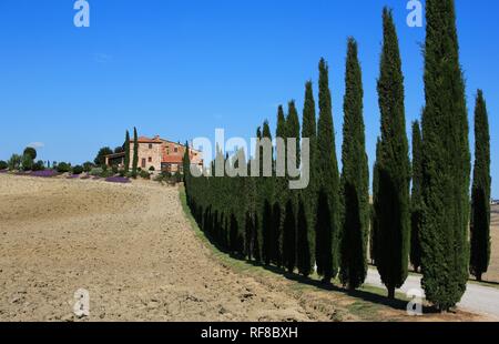 Agriturismo vicino a San Quirico d'Orcia, Creta, Toscana, Italia Foto Stock