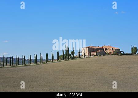Agriturismo vicino a San Quirico d'Orcia, Creta, Toscana, Italia Foto Stock