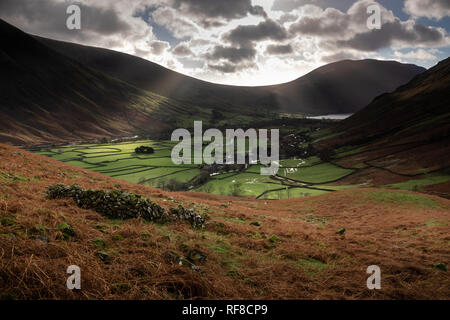 Testa Wasdale da ovile, Testa Highnose Foto Stock