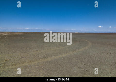 Le zone umide attorno al lago di Urmia, West Azerbaijan provincia, Urmia, Iran Foto Stock