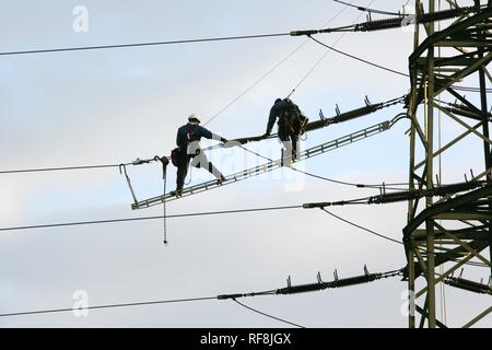Lavoratori su un alta tensione linea di trasmissione, Duisburg, Renania settentrionale-Vestfalia Foto Stock
