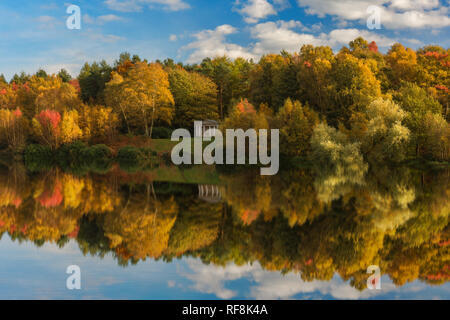 Colore di autunno a Clumber Park nel Nottinghamshire refected nel lago. Foto Stock