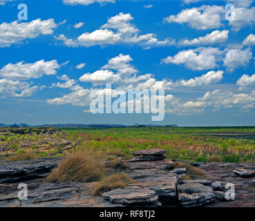 La selvaggia e remota del paesaggio della Nadab Floodplain a Ubirr nel Patrimonio Mondiale UNESCO Parco Nazionale Kakadu,Northern Territory, op fine, Australia Foto Stock