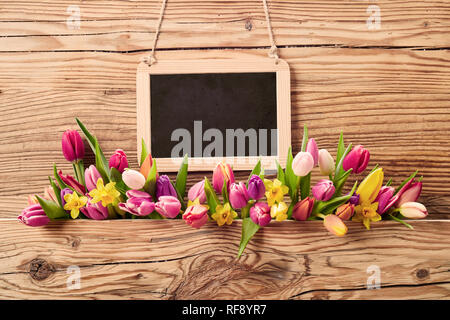 Una disposizione lineare di coloratissimi freschi fiori di primavera con giallo narcisi e tulipani multicolori al di sotto di una vecchia scuola ardesia con copia spazio su textu Foto Stock