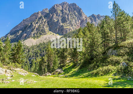 Escursionismo in Sant Maurici National Park Foto Stock