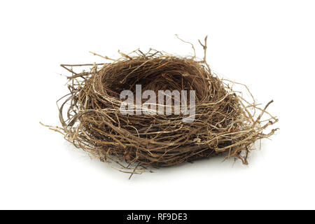 Vuoto reale bird nest su bianco Foto Stock