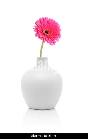 Pink gerbera fiori in vaso bianco, isolato su bianco Foto Stock