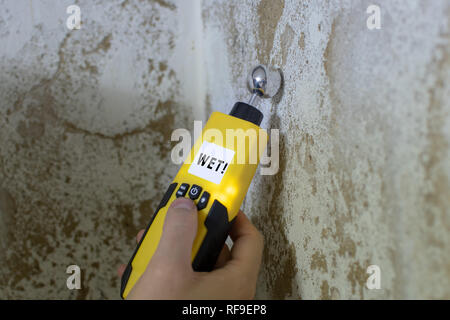 Umidità viene misurata in corrispondenza di un muro nel seminterrato. Strumento indica una parete umida. Foto Stock