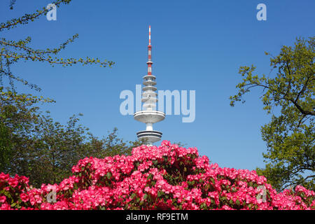 Giardino giapponese con la torre della TV e fiore di rododendro, Amburgo, Germania, Europa mi Japanischer Garten mit Fernsehturm und Rhododendronblüte, Amburgo, Foto Stock