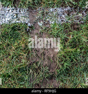 Dallo studio di Welsh rugby. Foto Stock