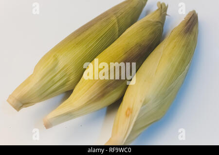 Tre mais bollito unpeel vicino fino in isolati su sfondo bianco Foto Stock