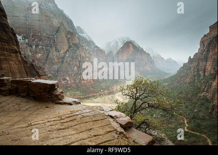 Angel's Landing sentiero escursionistico in Zion Canyon Zion National Park nello Utah, offre viste mozzafiato, e in inverno è meno affollata di estate Foto Stock