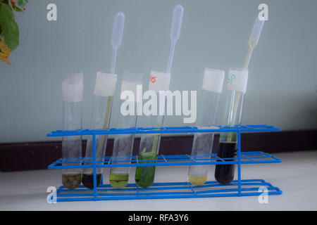Una foto di vari colorati di campioni biologici (in forma liquida) ad una classe di scienze in un baccalaureato internazionale scuola Foto Stock