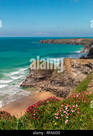 Cielo blu e rosa heather a Bedruthen passi Foto Stock