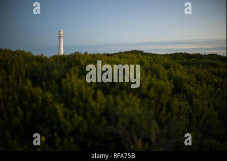 Slangkop Lighthouse vicino a Kommetjie, Cape Town, Western Cape, Sud Africa è stata costruita nei primi anni del novecento ed è ora una popolare turistica costiera spot Foto Stock