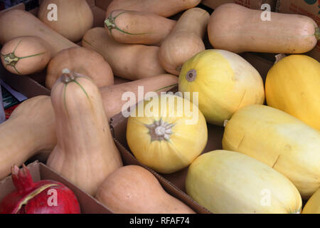 Inverno fresco squash al mercato degli agricoltori Foto Stock