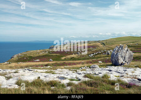 Erratics glaciale sul Great Orme promontorio nel Galles del Nord sono la dimostrazione del fatto che la zona era ricoperta da un ghiacciaio durante l'ultima glaciazione. Foto Stock