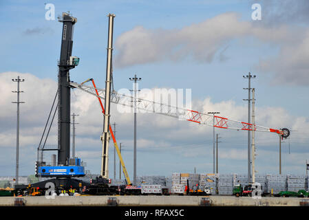 Port Canaveral, Florida. Stati Uniti d'America. Il 24 gennaio 2019. Il più grande gru mobile da porto in America è assemblato sulla banchina a Port Canaveral. Quando è completamente montata la Liebherr LHM 600 gru di proprietà dell'Canaveral Port Authority a gestire pesanti carichi, compresi i componenti dello spazio che arrivano al porto. Utilizzando due gru una gru locale azienda sollevato il braccio massiccia e attaccato alla torre. Quando è completamente assemblato è programmato per entrare in servizio nel secondo trimestre del 2019. Credito foto Julian Porro / Alamy Live News Foto Stock