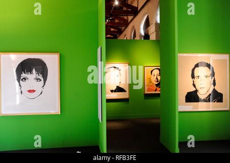 ORANGERIES DELLA VILLA RELAE. In anteprima per la stampa di ANDY WARHOL mostra. Il ALCHIMIST DEGLI ANNI SESSANTA (GIANPIETRO MALOSIO, MONZA - 2019-01-24) p.s. la foto e' utilizzabile nel rispetto del contesto in cui e' stata scattata, e senza intento diffamatorio del decoro delle persone rappresentate Foto Stock