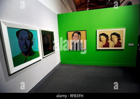 ORANGERIES DELLA VILLA RELAE. In anteprima per la stampa di ANDY WARHOL mostra. Il ALCHIMIST DEGLI ANNI SESSANTA (GIANPIETRO MALOSIO, MONZA - 2019-01-24) p.s. la foto e' utilizzabile nel rispetto del contesto in cui e' stata scattata, e senza intento diffamatorio del decoro delle persone rappresentate Foto Stock