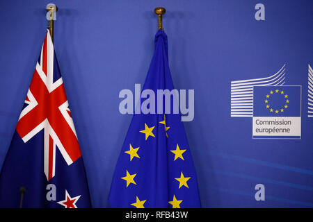 Bandiera dell'Unione europea e la bandiera della Nuova Zelanda in occasione del Consiglio europeo di Bruxelles, in Belgio il 25 gennaio, 2019 Foto Stock