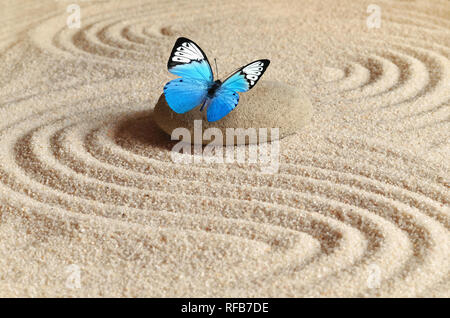 Un azzurro vivido butterfly su uno zen stone con modelli di cerchio nella sabbia della granella Foto Stock