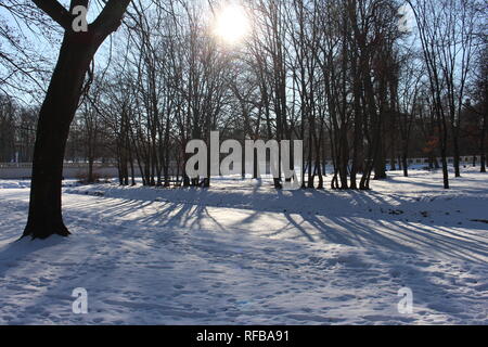 Branicki Park durante la stagione invernale, Białystok, Polonia Foto Stock