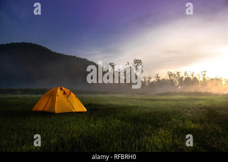 Giallo tenda da campeggio nel mezzo del campo aperto vicino alla foresta durante il Sunrise a foschia mattutina. Concetto di Outdoor Camping avanture Foto Stock