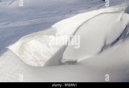 Rotture di snow drift da un grande peso di fiocchi di neve caduti, close-up foto in Inverno gelido meteo Foto Stock