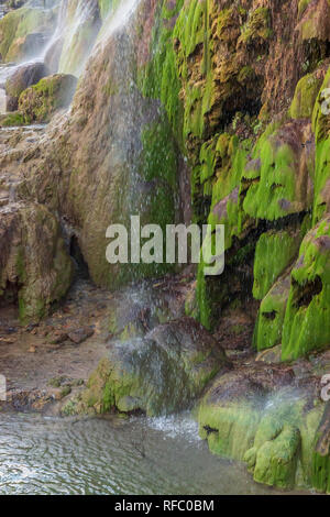 Gorman Falls sono una serie di primavera-alimentato cascades che evidenziano un viaggio in Colorado Bend State Park nel Texas centrale, vicino alla città di piegatura. Foto Stock