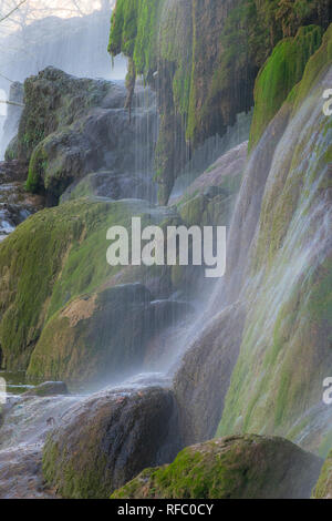 Gorman Falls è una serie di belle cascate oltre il muschio coperto di scogliere rocciose sopra il fiume Colorado in Colorado Bend State Park vicino a piegare, TX. Foto Stock