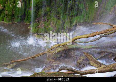 Un flusso costante di crystal clear spring acqua trabocca oltre il muschio e rocce di Gorman cade in Colorado Bend State Park nel Texas centrale, STATI UNITI D'AMERICA. Foto Stock