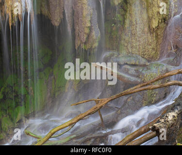 In aggiunta alle grandi escursioni e campeggio, la bella Gorman Falls sono la principale attrazione a Colorado Bend State Park nel Texas centrale, STATI UNITI D'AMERICA. Foto Stock