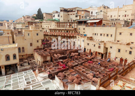 Gli uomini lavorano sodo in conceria Chouara souk di Fez, Marocco. La conceria souk di tessitori è la parte più visitata del duemila anni vecchia città. Africa Foto Stock