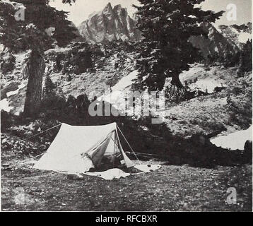 . Gli utenti di deserto nel nord-ovest del Pacifico: le loro caratteristiche, i valori e le preferenze di gestione. Aree selvagge Nordovest Pacifico; aree selvagge a nord-ovest del Pacifico visitatori. in materia di segni o, forse, un po' di confusione su questionario dichiarazioni. Il messaggio per i responsabili di deserto sembra essere: utilizzare segni di legno dove possibile mantenerle semplici con le direzioni Solo e li posiziona in corrispondenza di giunzioni sentiero piuttosto che concentrarli a trailheads. Abbiamo trascurato di includere una importante dichiarazione relativa ai segni nel deserto. Questa dichiarazione avrebbe riferito alla pratica di d Foto Stock