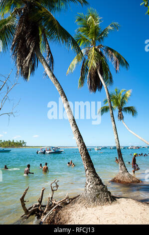 BAHIA, Brasile - marzo, 2018: brasiliani rilassarsi nelle secche di un mare di salita erodendo la base di palme sulla spiaggia di un remoto villaggio dell'isola. Foto Stock