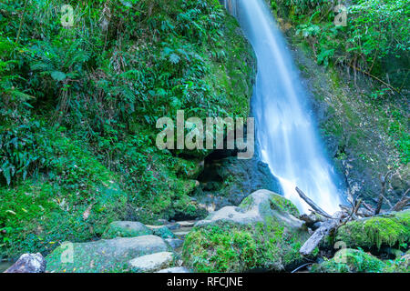 Cascata a Mc Laren Falls Park in esposizione a lungo effetto levigato Foto Stock