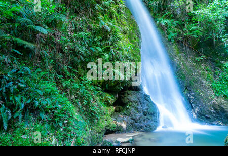 Cascata a Mc Laren Falls Park in esposizione a lungo effetto levigato Foto Stock