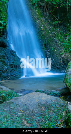 Cascata a Mc Laren Falls Park in esposizione a lungo effetto levigato Foto Stock