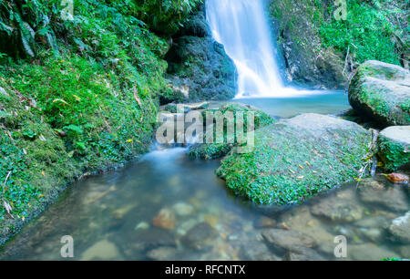 Cascata a Mc Laren Falls Park in esposizione a lungo effetto levigato Foto Stock