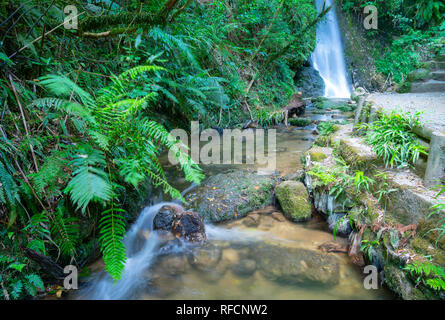 Cascata a Mc Laren Falls Park in esposizione a lungo effetto levigato Foto Stock