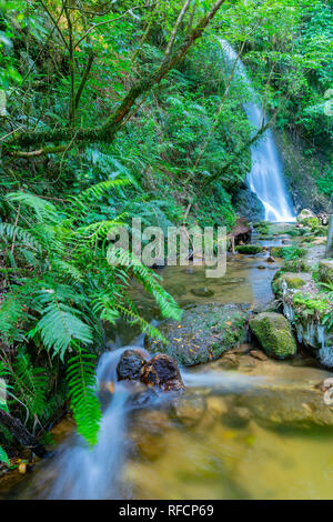 Cascata a Mc Laren Falls Park in esposizione a lungo effetto levigato Foto Stock