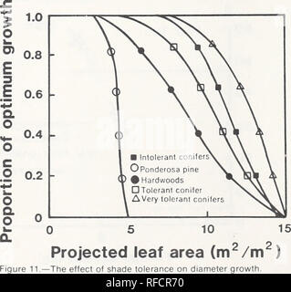 . CLIMACS : un modello al computer della foresta sviluppo stand per il western Oregon e Washington. Le foreste e la silvicoltura Oregon elaborazione dati; le foreste e la silvicoltura Washington (stato) di elaborazione dei dati. CLIMACS include cinque curve che tradurre la luce disponibile in capacità fotosintetica basato sulla tolleranza di ombra (fig. 11). Pinus ponderosa è il meno tollerante della Pacific Northwest specie e non è in grado di crescere sotto una foglia di superficie superiore a 5 m2/m2 (minore 1979; Waring).- i legni duri, intolleranti conifere e tollerante conifere rappresentano rispettivamente i livelli crescenti di ombreggiare la tolleranza (minore 1979). Foto Stock