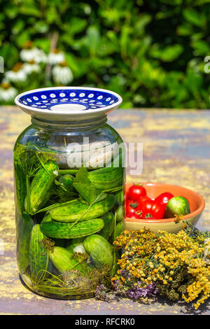 I cetrioli in salamoia con erbe aromatiche e spezie in un vasetto di vetro accompagnato da pomodori freschi e erbe su un tavolo in acciaio. Foto Stock